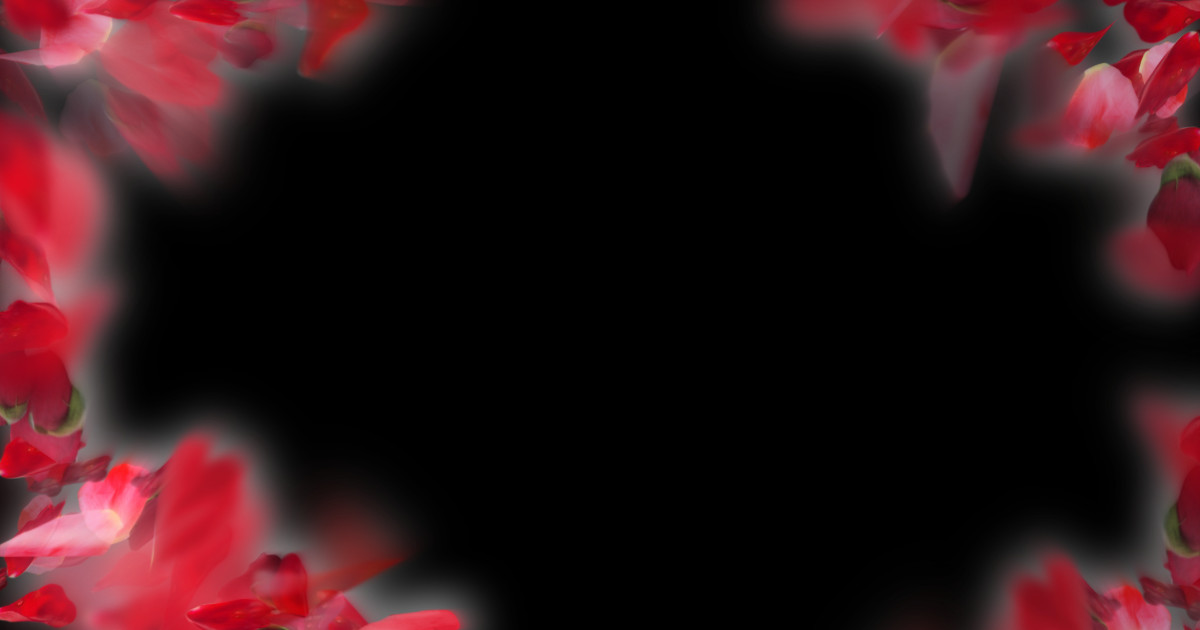 Анимированные лепестки красных роз с альфа каналом (Full HD)