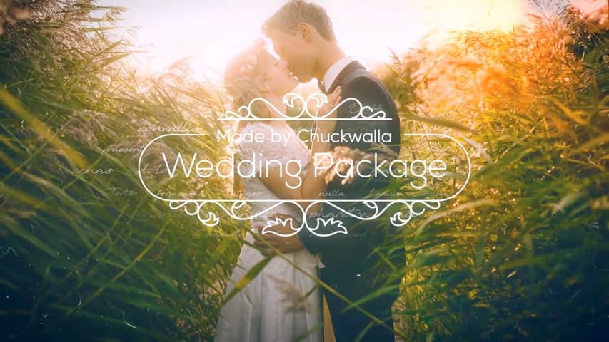 Пакет для Видеомонтажа Свадебных Фотографий в Adobe After Effects